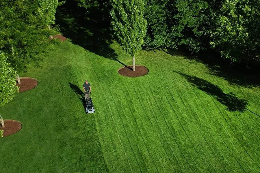what is the best electric mower